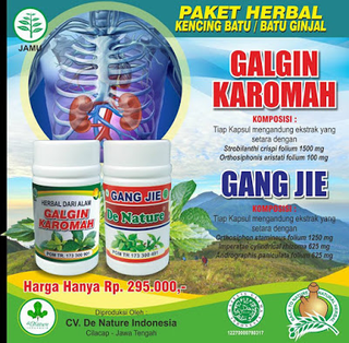 Illustration for article titled Sakit Ginjal dan Batu Ginjal
